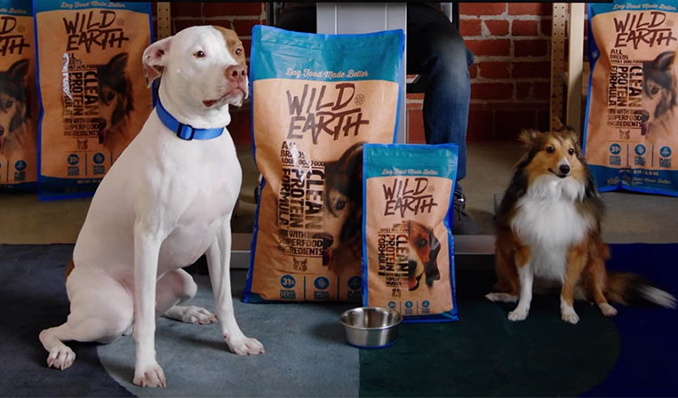 「麹」を使い先端技術で作る、植物性タンパク質豊かなペットフードWild Earth